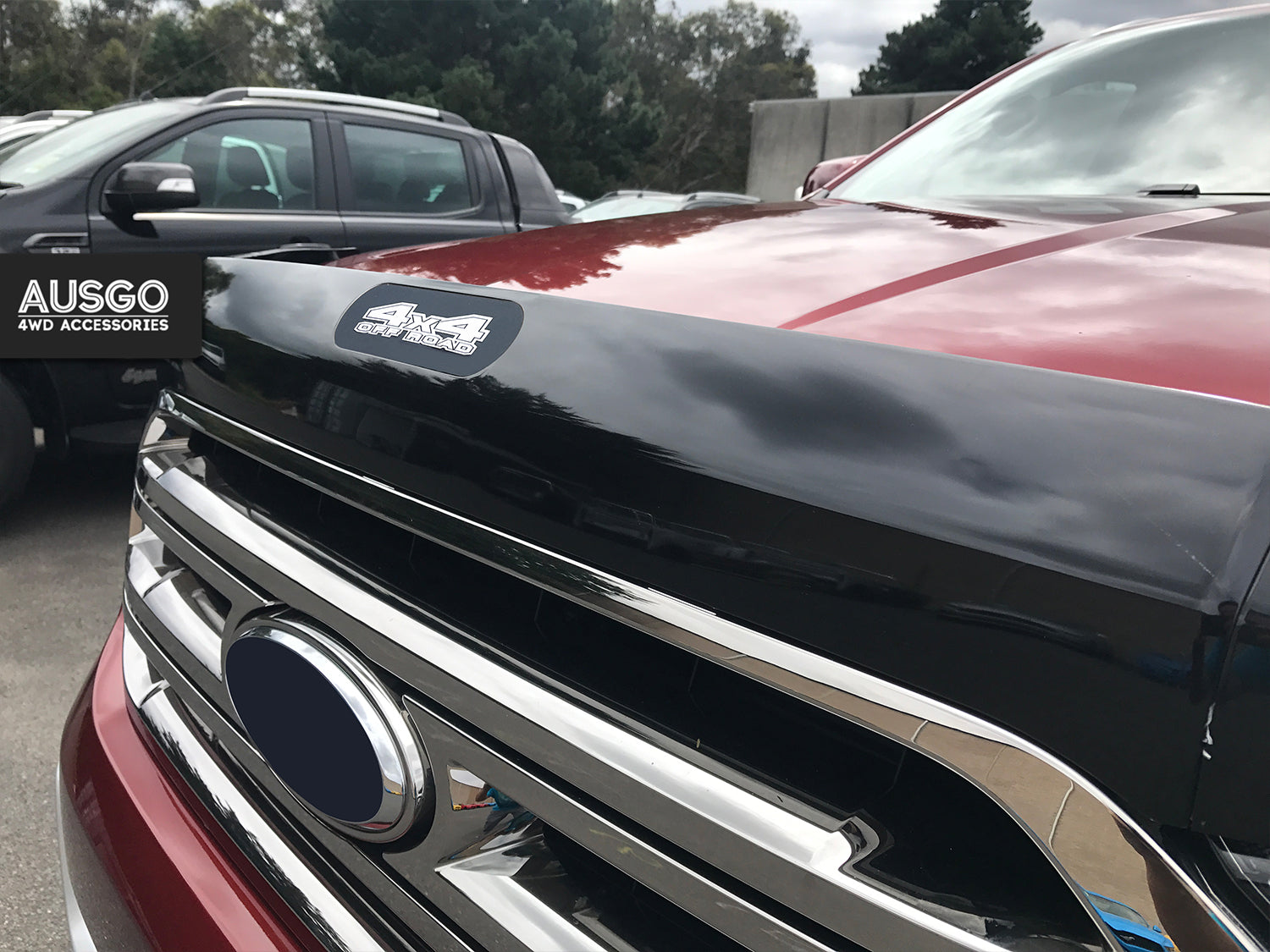 Ford Everest UA Series 2015-2022 Bonnet Guard